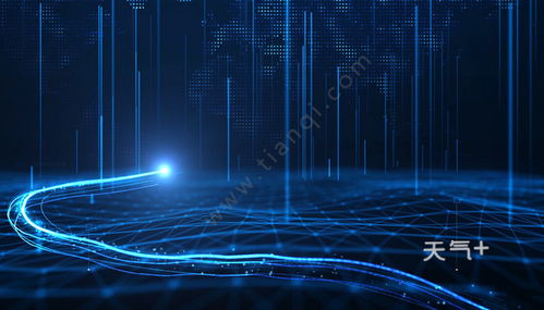 電子商務的專業(yè)類別與行業(yè)歸屬探究